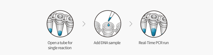 제품개봉 → Template DNA 분주 → Real-Time PCR run