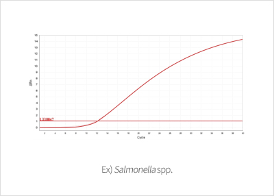Ex) Salmonella spp.